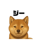 うちの柴犬のスタンプ（個別スタンプ：26）