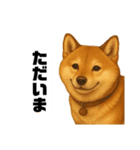 うちの柴犬のスタンプ（個別スタンプ：29）