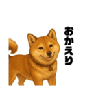 うちの柴犬のスタンプ（個別スタンプ：30）