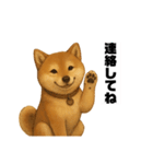 うちの柴犬のスタンプ（個別スタンプ：31）