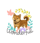 うちの柴犬のスタンプ（個別スタンプ：33）