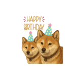 うちの柴犬のスタンプ（個別スタンプ：39）