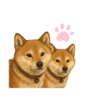 うちの柴犬のスタンプ（個別スタンプ：40）