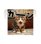 猫ちゃん、色々（日常その他）（個別スタンプ：1）