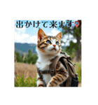 猫ちゃん、色々（日常その他）（個別スタンプ：6）