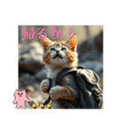 猫ちゃん、色々（日常その他）（個別スタンプ：11）