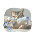 猫ちゃん、色々（日常その他）（個別スタンプ：13）