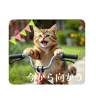 猫ちゃん、色々（日常その他）（個別スタンプ：14）