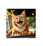猫ちゃん、色々（日常その他）（個別スタンプ：17）