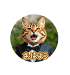 猫ちゃん、色々（日常その他）（個別スタンプ：24）