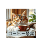 猫ちゃん、色々（日常その他）（個別スタンプ：27）