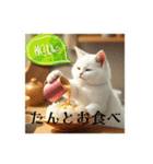 猫ちゃん、色々（日常その他）（個別スタンプ：29）