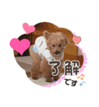 そうくん♡1歳（個別スタンプ：17）