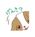 シーズーさん可愛い日常（個別スタンプ：2）