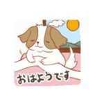 シーズーさん可愛い日常（個別スタンプ：3）