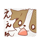 シーズーさん可愛い日常（個別スタンプ：9）