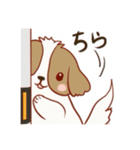 シーズーさん可愛い日常（個別スタンプ：14）