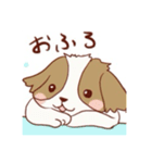 シーズーさん可愛い日常（個別スタンプ：16）