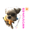 ミックス犬☆山本ララ（個別スタンプ：1）