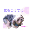 ミックス犬☆山本ララ（個別スタンプ：11）