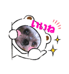 ミックス犬☆山本ララ（個別スタンプ：14）