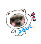 ミックス犬☆山本ララ（個別スタンプ：15）