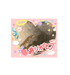 カナヘビのクリームちゃん♡（個別スタンプ：3）