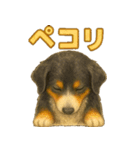 バーニーズの使いやすい言葉スタンプ（個別スタンプ：3）