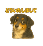 バーニーズの使いやすい言葉スタンプ（個別スタンプ：7）