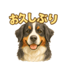 バーニーズの使いやすい言葉スタンプ（個別スタンプ：8）