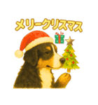 バーニーズの使いやすい言葉スタンプ（個別スタンプ：15）