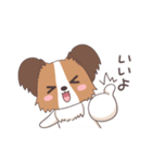 パピヨン@HOT DOG FAMILY（個別スタンプ：1）