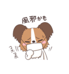 パピヨン@HOT DOG FAMILY（個別スタンプ：4）