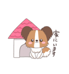パピヨン@HOT DOG FAMILY（個別スタンプ：6）