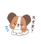 パピヨン@HOT DOG FAMILY（個別スタンプ：7）