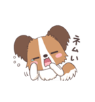 パピヨン@HOT DOG FAMILY（個別スタンプ：8）
