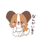パピヨン@HOT DOG FAMILY（個別スタンプ：9）