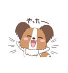 パピヨン@HOT DOG FAMILY（個別スタンプ：10）