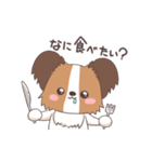 パピヨン@HOT DOG FAMILY（個別スタンプ：11）