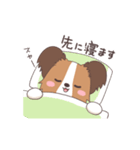 パピヨン@HOT DOG FAMILY（個別スタンプ：13）