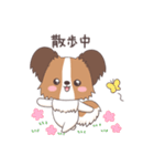 パピヨン@HOT DOG FAMILY（個別スタンプ：15）