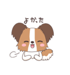 パピヨン@HOT DOG FAMILY（個別スタンプ：16）