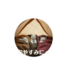 白猫家族の日常。（個別スタンプ：4）