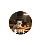 白猫家族の日常。（個別スタンプ：6）