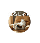白猫家族の日常。（個別スタンプ：8）