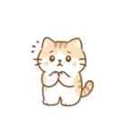 ミニマルパステルキャット（NT）（個別スタンプ：1）
