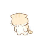 ミニマルパステルキャット（NT）（個別スタンプ：36）