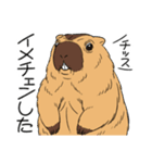 ワガマママーモット 9（個別スタンプ：12）