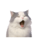 ふわふわラグドール猫（NT）（個別スタンプ：1）