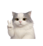 ふわふわラグドール猫（NT）（個別スタンプ：3）